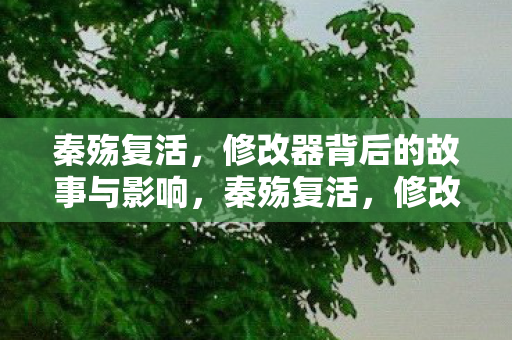 修改器背后的故事与影响图片