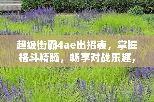 超级街霸4ae出招表图片