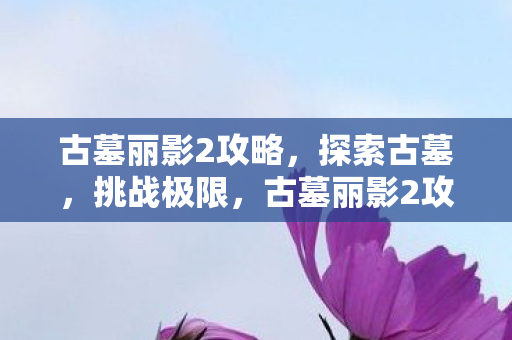 古墓丽影2攻略图片