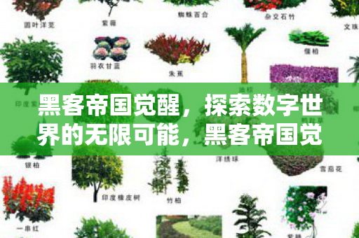 探索数字世界的无限可能图片