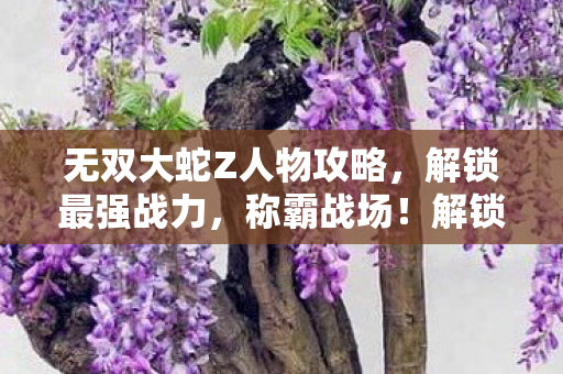 无双大蛇Z人物攻略图片