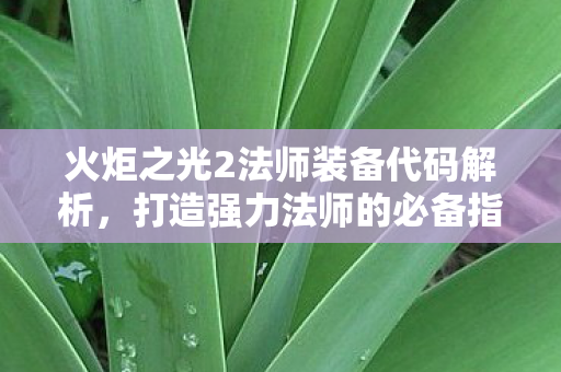 火炬之光2法师装备代码解析图片