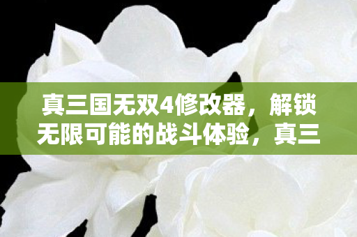 解锁无限可能的战斗体验图片