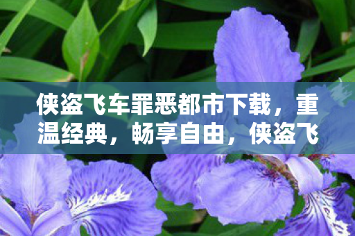 侠盗飞车罪恶都市下载图片