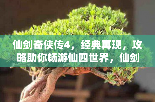 攻略助你畅游仙四世界图片