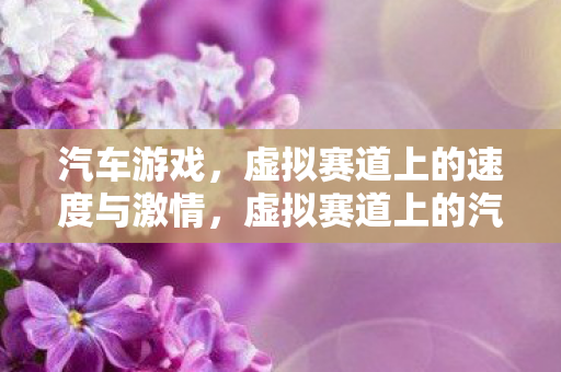虚拟赛道上的速度与激情图片