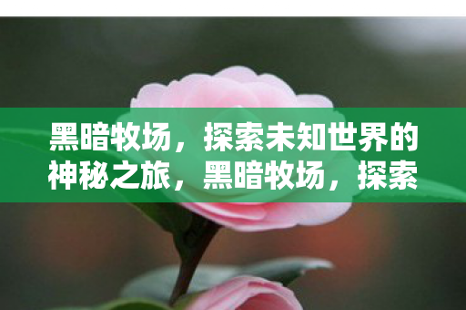 探索未知世界的神秘之旅图片