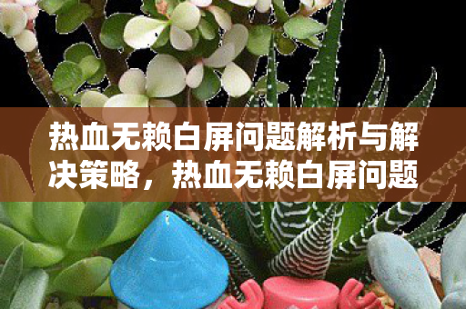 热血无赖白屏问题解析与解决策略图片