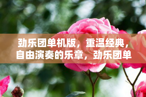 劲乐团单机版，重温经典，自由演奏的乐章，劲乐团单机版，重温经典，自由演奏的乐章