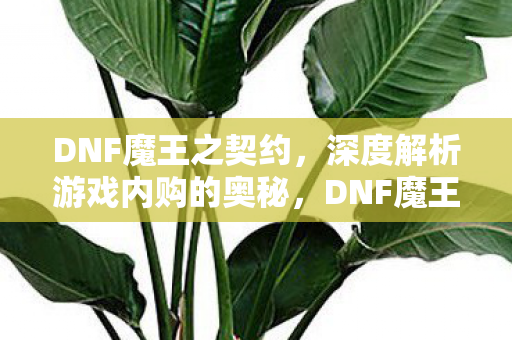 深度解析游戏内购的奥秘图片
