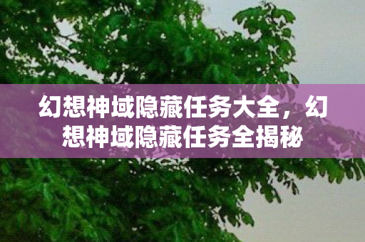 幻想神域隐藏任务全揭秘图片