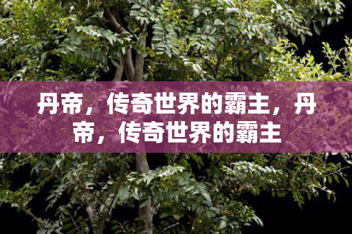 传奇世界的霸主图片