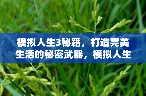 打造完美生活的秘密武器图片