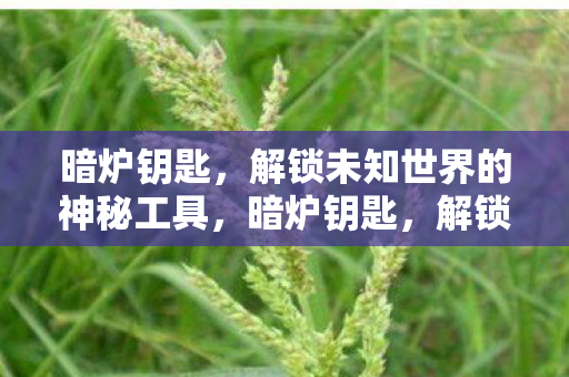 解锁未知世界的神秘工具图片