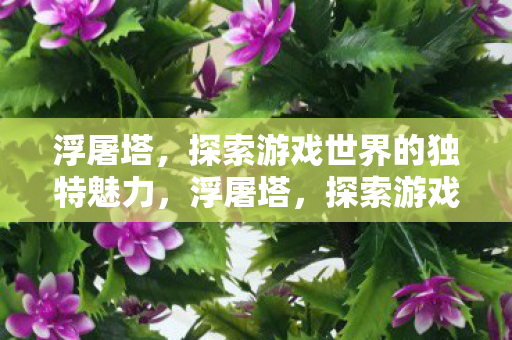 探索游戏世界的独特魅力图片