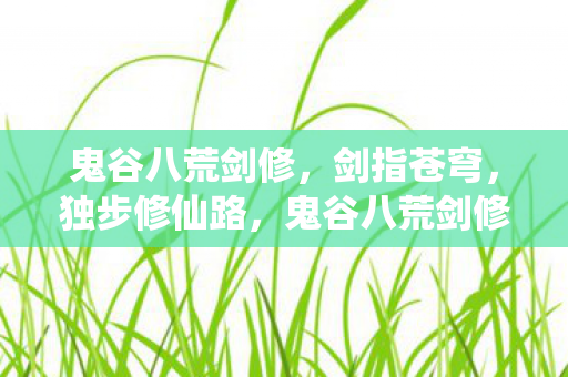 鬼谷八荒剑修图片