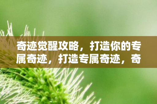 奇迹觉醒攻略全解析图片