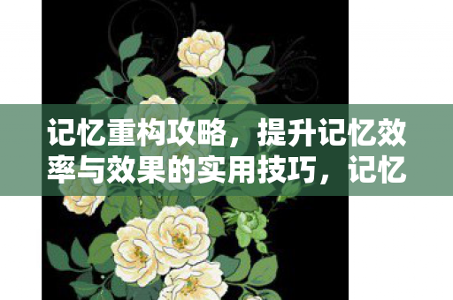 提升记忆效率与效果的实用技巧图片