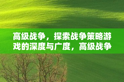 探索战争策略游戏的深度与广度图片