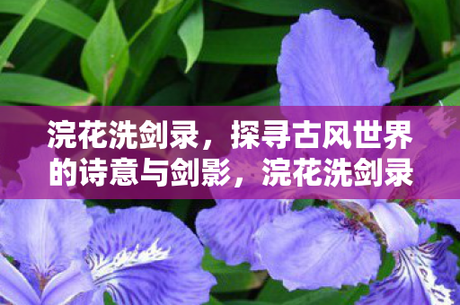 浣花洗剑录,探寻古风世界的诗意与剑影,浣花洗剑录,诗意与剑影交织的古风世界 浣花洗剑录,探寻古风世界的诗意与剑影,浣花洗剑录,诗意与剑影交织的古风世界