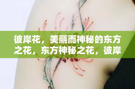 美丽而神秘的东方之花图片