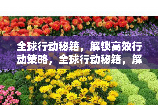 解锁高效行动策略图片
