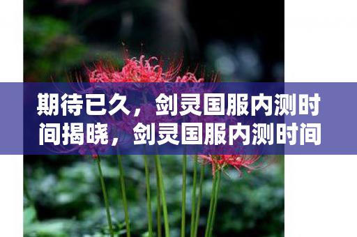 剑灵国服内测时间揭晓图片