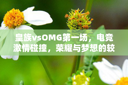 皇族vsOMG第一场图片