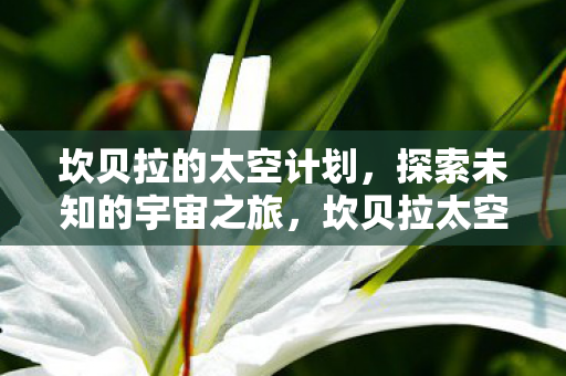 探索未知的宇宙之旅图片