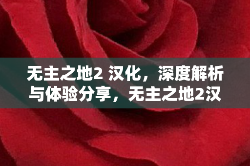无主之地2汉化深度解析与体验分享图片