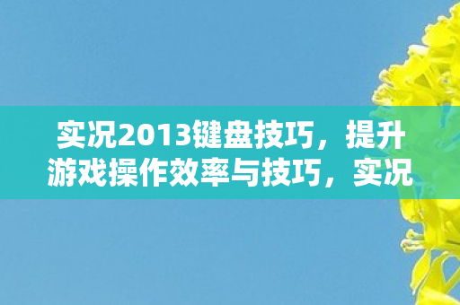 实况2013键盘操作技巧全解析图片