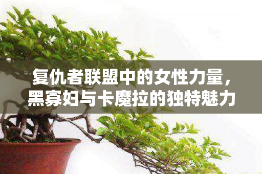 黑寡妇与卡魔拉的独特魅力图片