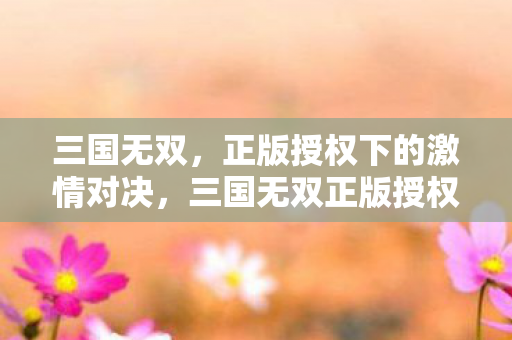 正版授权下的激情对决图片