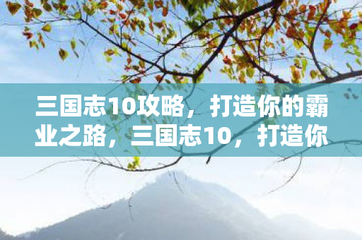 打造你的霸业之路攻略图片