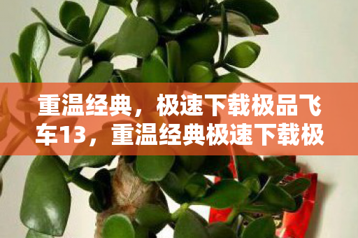 重温经典极速下载极品飞车13图片