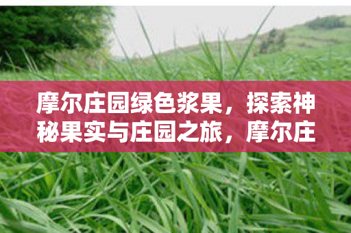 探索神秘果实与庄园之旅图片