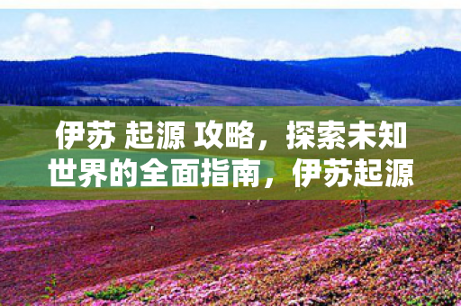 探索未知世界的全面攻略指南图片
