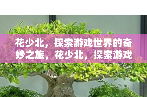 探索游戏世界的奇妙之旅图片