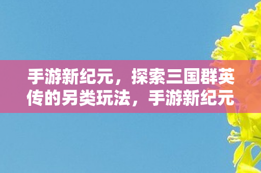 探索三国群英传的另类玩法图片