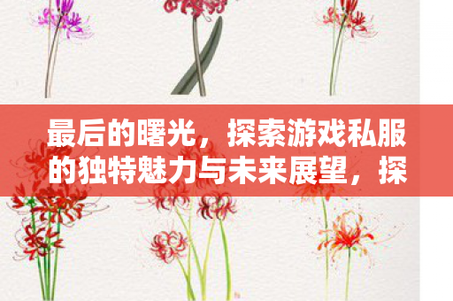 探索游戏私服的独特魅力与未来展望图片