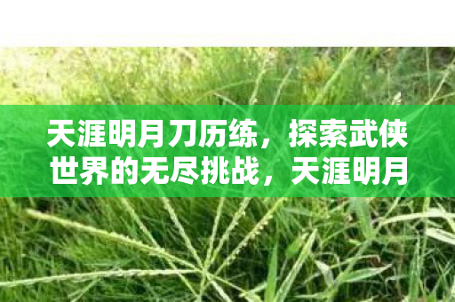 天涯明月刀历练,探索武侠世界的无尽挑战,天涯明月刀历练,武侠世界的无尽挑战之旅 天涯明月刀历练,探索武侠世界的无尽挑战,天涯明月刀历练,武侠世界的无尽挑战之旅