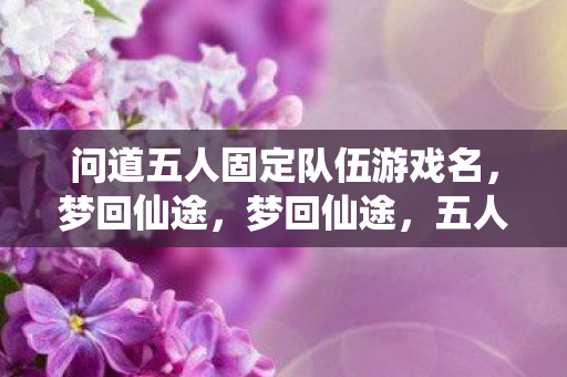问道五人固定队伍游戏名，梦回仙途，梦回仙途，五人固定队伍探索之旅
