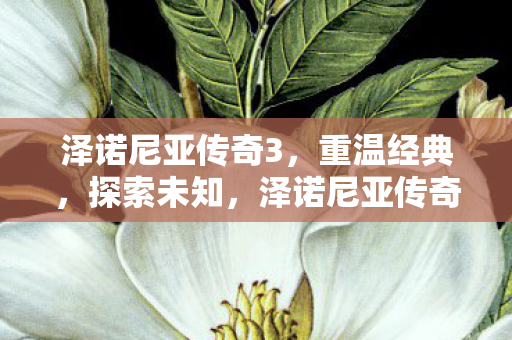 泽诺尼亚传奇3图片