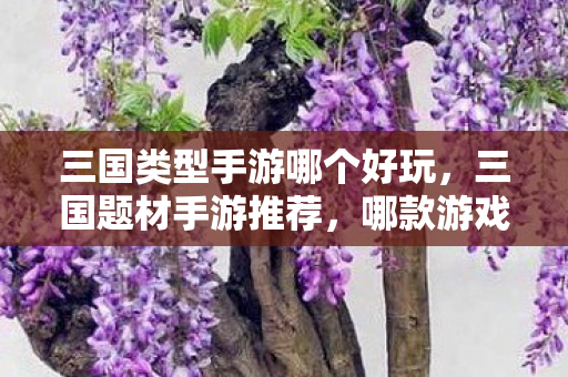 三国类型手游哪个好玩图片