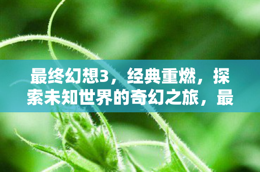 开启探索未知世界的奇幻之旅图片