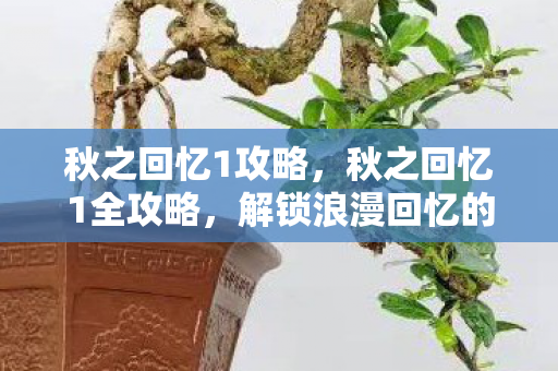 解锁浪漫回忆的秘诀图片