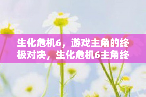 生化危机6,游戏主角的终极对决,生化危机6主角终极对决震撼来袭! 生化危机6,游戏主角的终极对决,生化危机6主角终极对决震撼来袭!