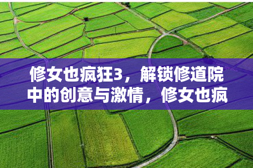 修女也疯狂3,解锁修道院中的创意与激情,修女也疯狂3,解锁修道院中的创意与激情 修女也疯狂3,解锁修道院中的创意与激情,修女也疯狂3,解锁修道院中的创意与激情