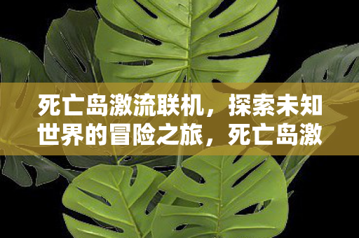 死亡岛激流联机,探索未知世界的冒险之旅,死亡岛激流联机,探索未知世界的冒险之旅 死亡岛激流联机,探索未知世界的冒险之旅,死亡岛激流联机,探索未知世界的冒险之旅