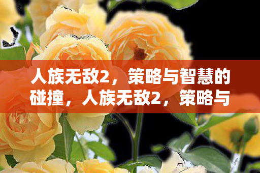 人族无敌2,策略与智慧的碰撞,人族无敌2,策略与智慧的终极对决! 人族无敌2,策略与智慧的碰撞,人族无敌2,策略与智慧的终极对决!